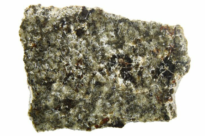 Polished Martian Meteorite Slice ( g) - NWA #262793